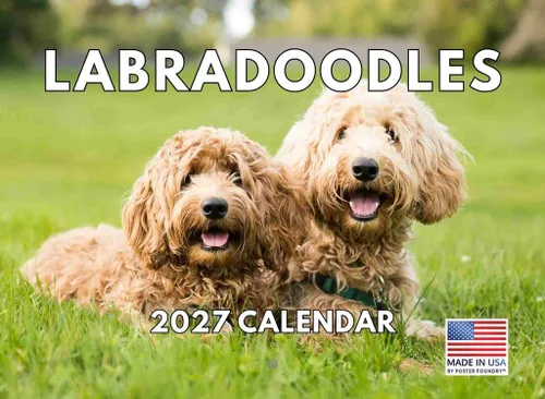 Vista 30 de Calendario mensual de pared Airedale Terrier Dog 2027