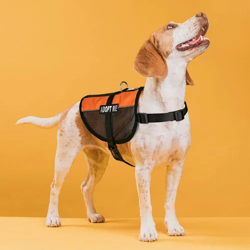 Vista 56 de Dogline MaxAire - Chaleco de malla para perros de 13 a 16 pulgadas y 2 parches extraíbles Adopt Me, talla S, color negro