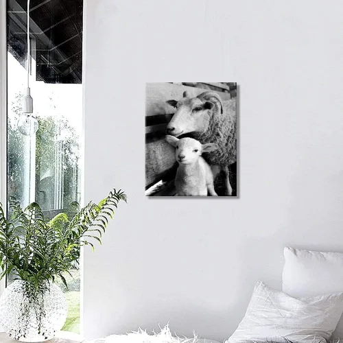 Vista 3 de IXMAH - Lienzo decorativo para pared, diseño de animales en blanco y negro, bonito cordero, ovejas, póster de granja para decoración del hogar