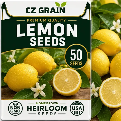 Vista 51 de CZ Grain Semillas para plantar, 40 pequeñas mezclas de calabaza