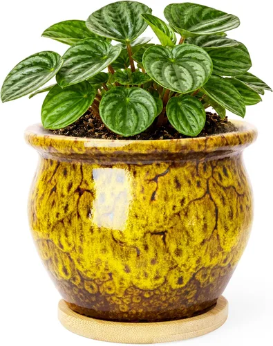 Vista 10 de ARTKETTY Macetas de 4.5 pulgadas con drenaje, pequeñas macetas de cerámica para plantas de interior Rojo