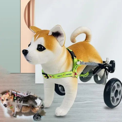 Vista 3 de Silla de ruedas ligera para perros para patas traseras, rodillera doble ajustable para artritis, parálisis y amputación, ruedas de ejercicio