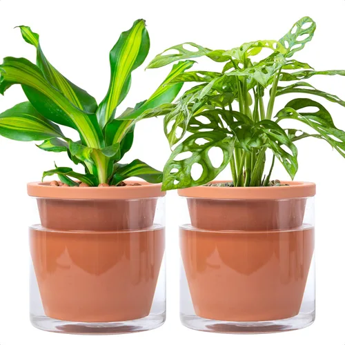 Vista 14 de D'vine Dev Maceta de Diseño de Riego Automático de 4 Pulgadas para Plantas de Interior, Maceta de Terracota Azul con Vaso Cilíndrico de Vidrio