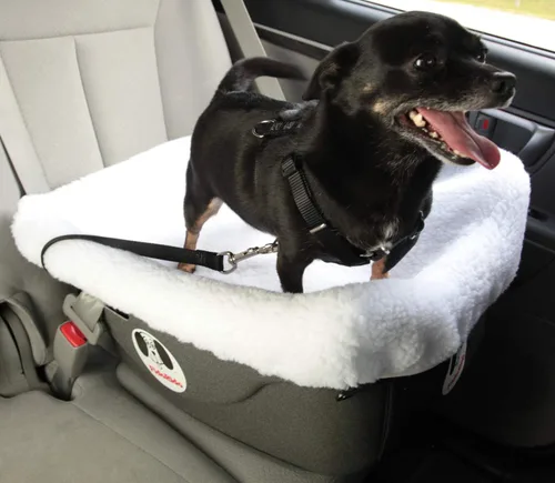 Vista 5 de FIDORIDO Asiento de automóvil para perro, asiento de auto con funda, arnés y correas, base de plástico duradero, cómodos cojines, fácil de instalar