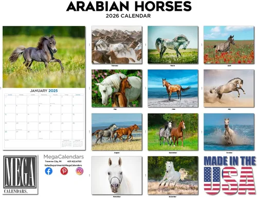 Vista 531 de Calendario de grises africanos 2025 2026 – Planificador mensual de pared de aves africanas – 12 x 18 pulgadas (abierto), calendario de pared