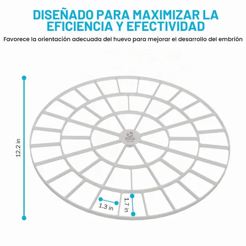 Vista 6 de Bandeja de huevos duradera para incubadora de huevos Nurture Right 360, 48 huevos de codorniz/pájaro