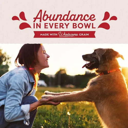 Vista 5 de Natural Balance Ultra Premium Alimento húmedo para perro, Carne
