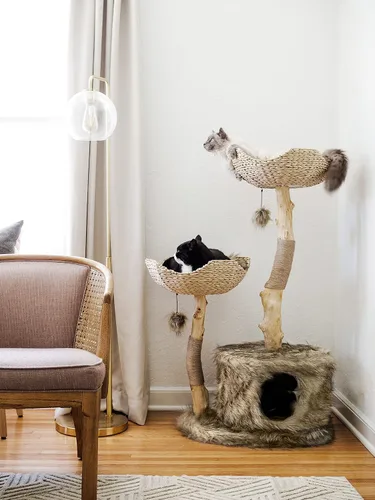 Vista 3 de Torre de Árbol para Gatos Moderna, Condominio de Lujo con Ramas Reales, Torre de Gatos de Madera, Árbol para Rascar Gatos, Condominio para Gatos