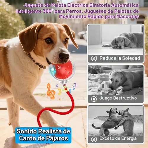 Vista 3 de Juguete Tiny Fetch para Perros, Juguetes Interactivos Tinyfetch para Perros y Gatos con Pelotas con Canto de Pájaros, Juguete de Pelota Eléctrica