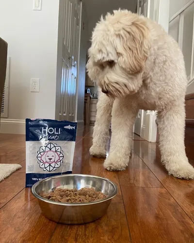 Vista 7 de HOLI Alimento para perros liofilizado - Paquete de 3 unidades de 2 onzas (hígado de res, pechuga de pollo, salmón) Mezcla en potenciador de sabor