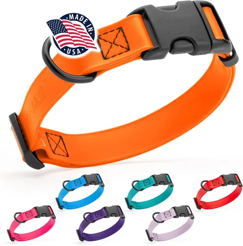 Vista 34 de Dogline Biothane - Collar impermeable para perro con hebilla de liberación rápida, resistente cincha de nailon recubierta con resistente y a prueba