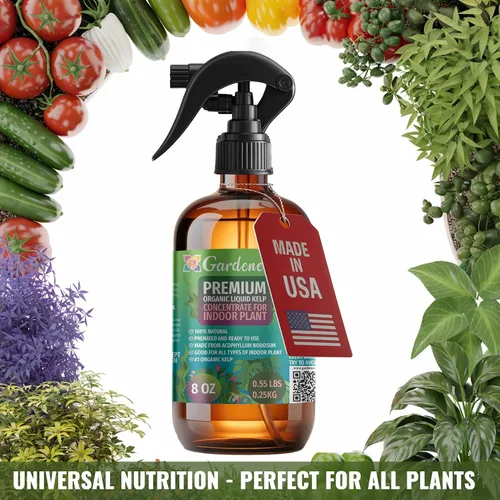Vista 5 de GARDENERA Spray orgánico profesional de algas marinas para plantas AGLAONEMA – 8 oz – Rocío fertilizante de algas marinas y algas marinas totalmente