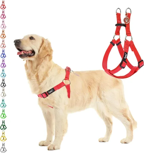 Vista 71 de Pupteck - Arnés para perros sin jalar, suave, ajustable, de nailon, talla básica, chaleco para cachorro, para caminar al aire libre con etiqueta