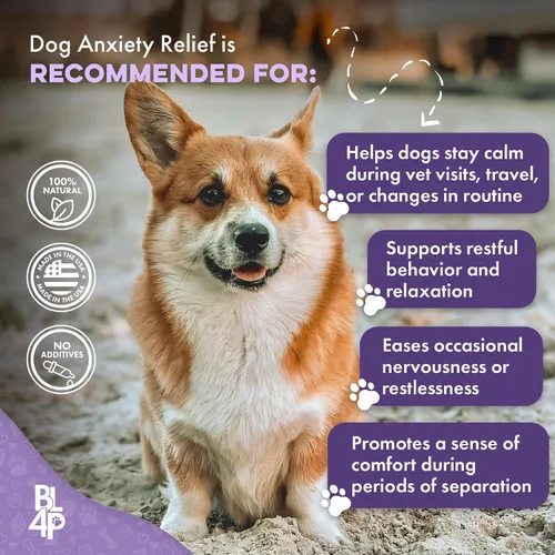 Vista 5 de Pet Relax - Alivio de la ansiedad calmante para perros, relajantes de larga duración para aliviar el estrés, solución natural para la ansiedad por