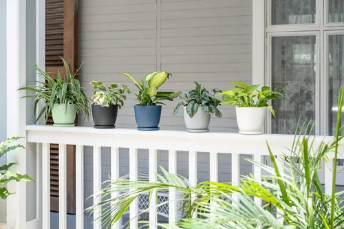 Vista 3 de Mkono Macetas de plástico de 7.5 pulgadas para plantas con platillos, juego de 5 macetas de plástico para interiores, maceta moderna con orificio