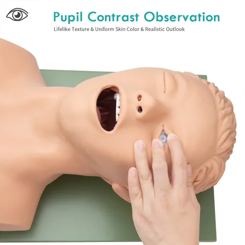 Vista 4 de Modelo de enseñanza de maniquí de intubación, modelo de simulador de entrenamiento de intubación traqueal para adultos de 110 V, entrenamiento