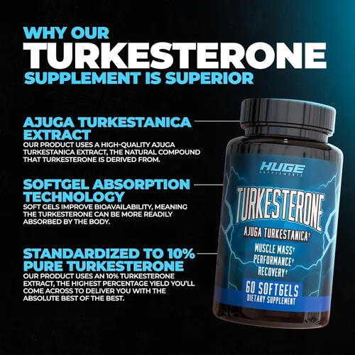 Vista 2 de Huge Supplements Pila de turkesterona y ecdysterona, construye músculo y fuerza, tecnología de absorción mejorada (60 porciones)