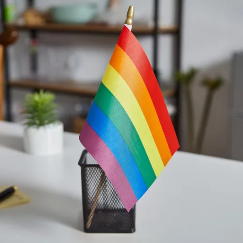 Vista 5 de ZXvZYT Paquete de 12 banderas de arco iris del orgullo, gay, LGBT, pequeñas, de mano, para festivales, fiestas, desfiles (5 x 8 pulgadas)