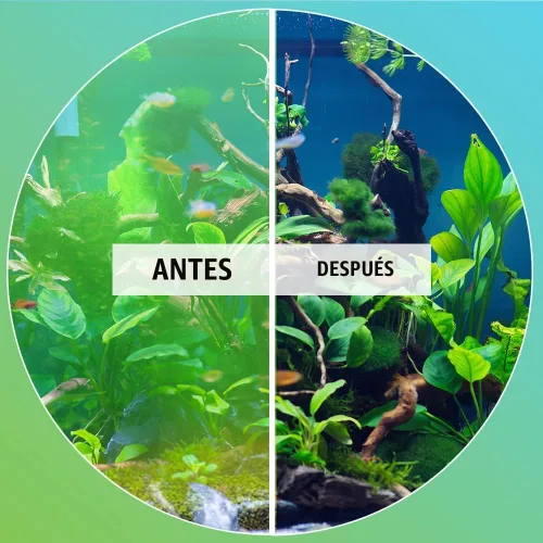 Vista 4 de MICROBE-LIFT Algaway 5.4 Removedor de Algas para Acuarios, Alguicida para Tanques de Agua Dulce y Salada, Control de Algas en Acuarios y Limpiador