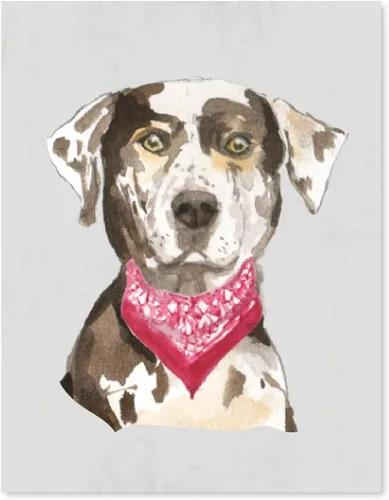Vista 16 de Andaz Press Póster impreso para pared de perro, 8.5 x 11 pulgadas, Bulldog inglés con gafas negras, 1 paquete, regalo de cumpleaños de Navidad, sin