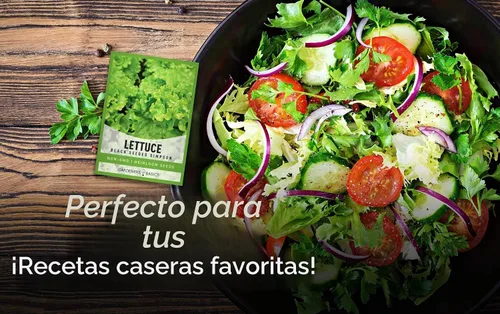Vista 6 de Gardeners Basics - Semillas de lechuga Simpson de semillas negras