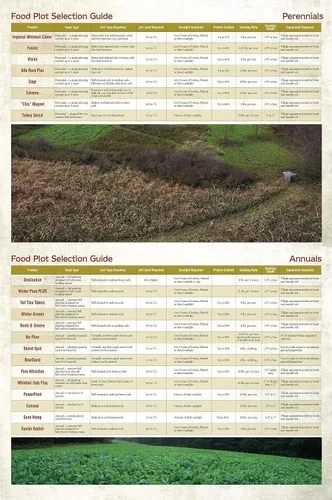 Vista 9 de Whitetail Institute Imperial semillas de trébol para alimento “No-Plow