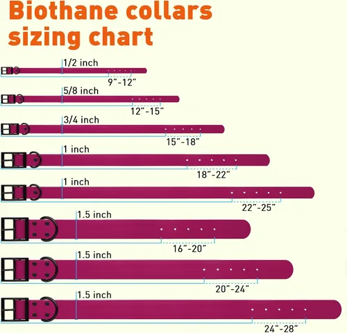 Vista 204 de Dogline Biothane - Collar impermeable para perro con hebilla de liberación rápida, resistente cincha de nailon recubierta con resistente y a prueba