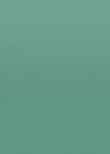 Vista 2 de Teacher Created Resources Rollo de tablón de anuncios de eucalipto verde Better Than Paper (TCR77464)