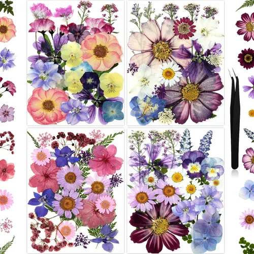 Vista 10 de 100 piezas de flores prensadas secas de hortensias para manualidades de Hortensia 100pcs