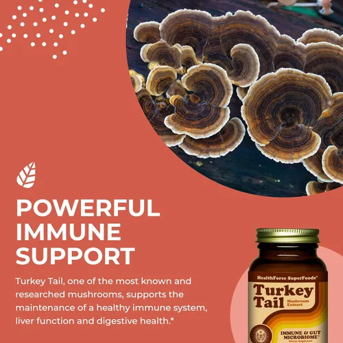 Vista 4 de HEALTHFORCE SUPERFOODS Cola de pavo - Cápsulas - 90 Cápsulas Veganas