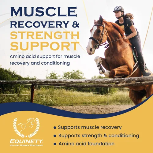 Vista 3 de Productos de Equinety Horse