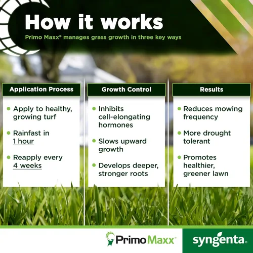 Vista 4 de Regulador de crecimiento de plantas Primo Maxx