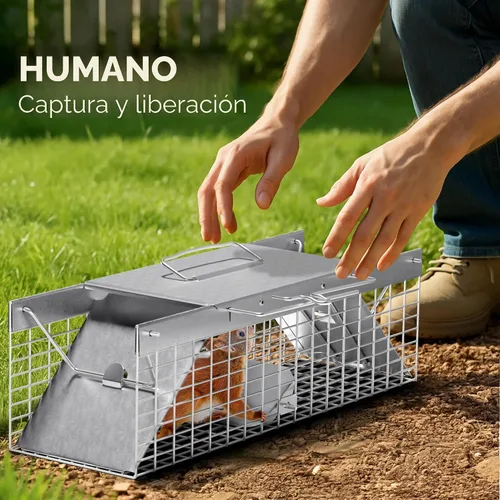 Vista 7 de HOMESTEAD Trampa para Ratas Vivas para Interiores/Exteriores - Trampa para Ardillas, Trampa Humanitaria para Ardillas, Conejos Pequeños, Comadrejas