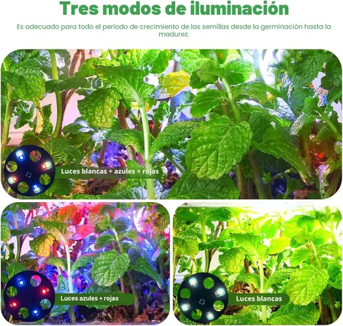 Vista 2 de Bandejas de inicio de semillas con luces de crecimiento, kit de inicio de semillas de 72 celdas con luces, 3 modos de iluminación, 4 ajustes