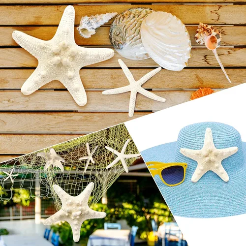 Vista 7 de 12 piezas de estrellas de mar Decoración de estrellas de mar de 2.5 a 6 pulgadas Conchas naturales de estrella de mar a granel perfectas