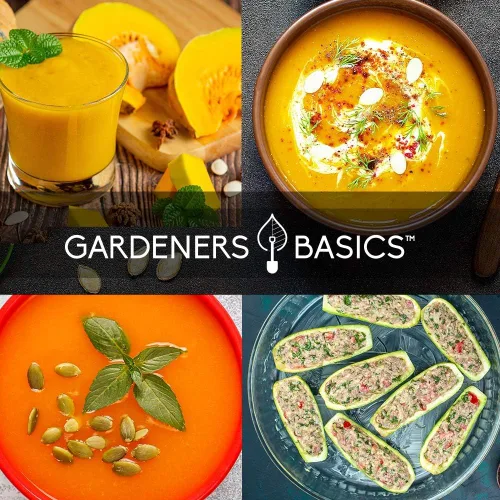 Vista 6 de Gardeners Basics, Semillas de calabaza para plantar 5 paquetes individuales: calabacín, delicata, mantequilla, espaguetis y cuello de torcido dorado