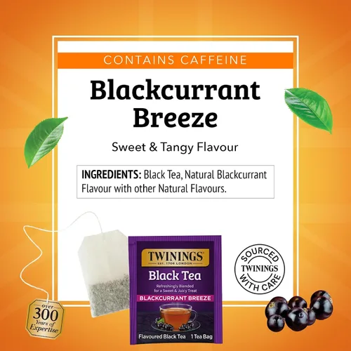 Vista 4 de Twinings Bolsas de té negro Blackcurrant Breeze envueltas individualmente, 20 unidades (paquete de 1), dulce, sabor picante, con cafeína, disfruta