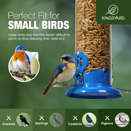 Vista 3 de Kingsyard Alimentador para Azulejos Mejorado para Colgar al Aire Libre, Tubo de Metal para Gusanos de la Harina con Percha Ensanchada para Pájaros