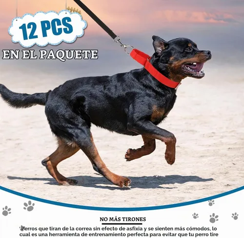 Vista 5 de 12 piezas de collares Martingale para perros medianos, collar reflectante para perros con hebilla de metal duradera ajustable de nylon