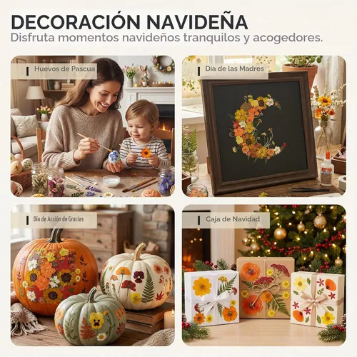 Vista 7 de LUXEEASE 120P Amarillo Naranja Rojo Flores Secas Prensadas Amarillo y naranja 120 piezas