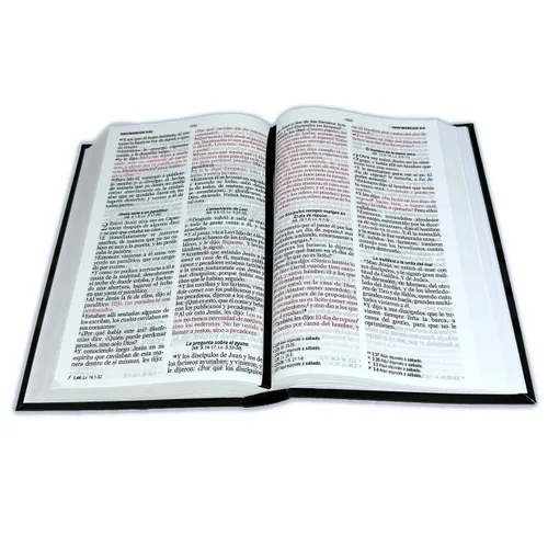 Vista 2 de Biblia RVR 1960 Letra Grande 12.5 puntos Tamaño Manual Tapa Flex León