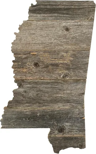 Vista 98 de Letrero de madera rústica de Alabama para casa de campo, decoración del hogar de pared estatal, es un gran regalo temático de AL para recién