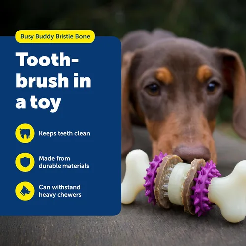 Vista 2 de PetSafe Busy Buddy Bristle Bone - Hueso de Cerdas - Juguete Duradero para Masticar para Perros con Cerdas y Protuberancias de Goma para la Salud