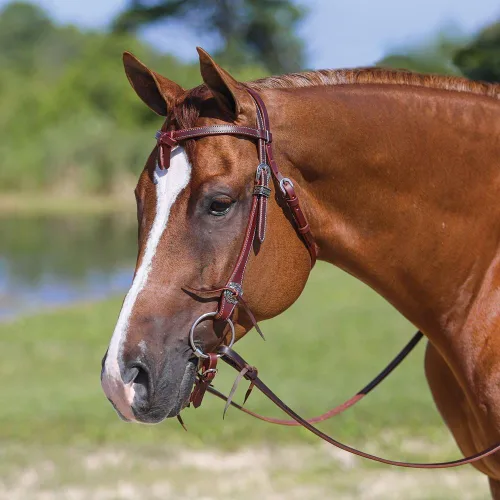 Vista 2 de Schneiders Double S Latigo Lined Futurity Browband Headstall Premium Horse Headgear Soft Latigo Lining Adjustable Size Durable Harness