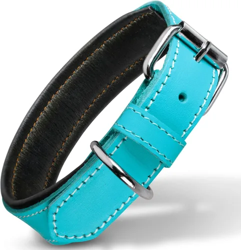 Vista 12 de Filbert Collar de cuero para perro, collar de cuero genuino para perros pequeños, acolchado de lujo, fuerte, ajustable para todas las razas, hebilla