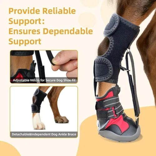 Vista 2 de Soporte de pie con correa (sin soporte para botas para nudillos) para perros: rodilleras para perros, zapatos correctivos para levantar los dedos