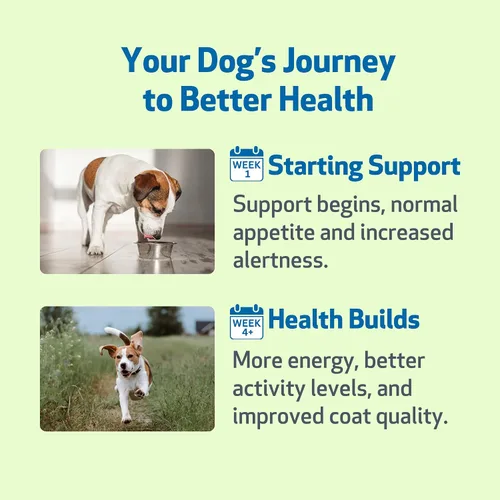 Vista 6 de Pet Wellbeing Cardo Mariano para Perros - Cardo Mariano Orgánico, Apoya la Función Hepática Saludable y la Desintoxicación - Certificado NASC