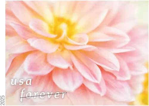 Vista 4 de Dahlias 2025 (Libro de 20) Sellos Postales Forever de Primera Clase