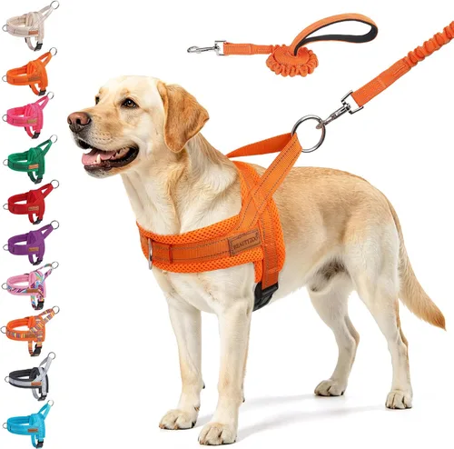 Vista 42 de BEAUTYZOO Arnés para Perros Pequeños, Juego de Arnés y Correa sin Tirones, Arnés de Pecho para Cachorros a Prueba de Escapes con Mango, Arnés Beige