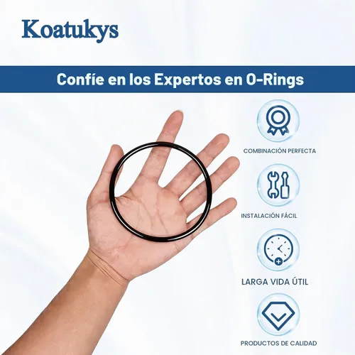 Vista 5 de 2PCS R172009 O-283 O-Ring para clorador de arco iris Pentair